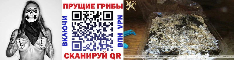 omg как войти  где можно купить   Холмск  Галлюциногенные грибы мицелий 