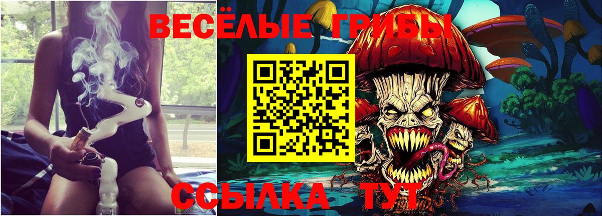 Галлюциногенные грибы Psilocybine cubensis Холмск