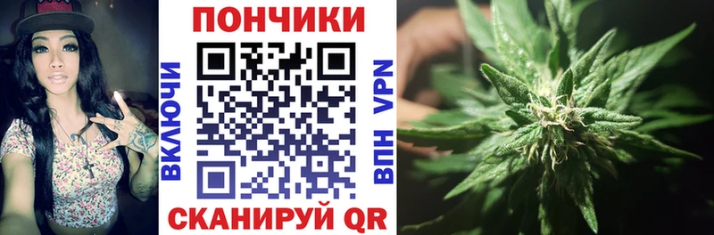 мега ссылка  Холмск  Каннабис OG Kush 