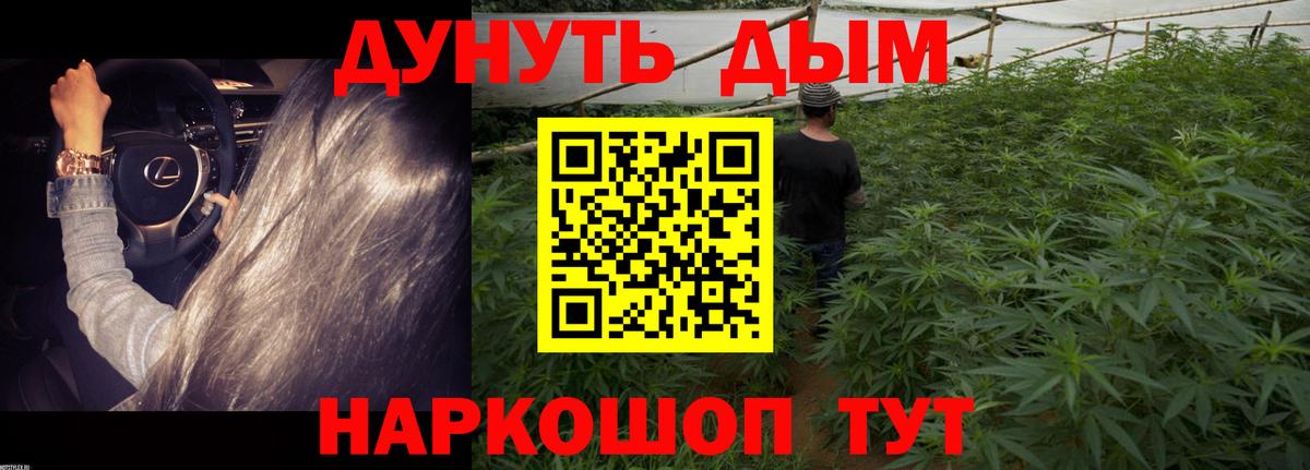 Бошки Шишки ГИДРОПОН  МАРИХУАНА MAZAR  Холмск  Вход с VPN 
